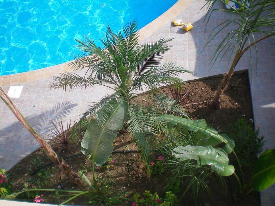 104 Excellent 2 Bed Apartment With Pool View, Ac & Gym! Perivólia Esterno foto