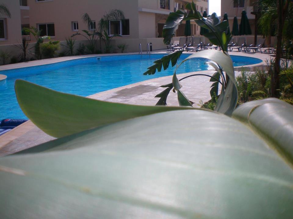 104 Excellent 2 Bed Apartment With Pool View, Ac & Gym! Perivólia Esterno foto